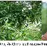 关于莱万多夫斯基在RNG比赛中关键助攻纽约尼克斯围绕德甲绝杀压哨之后，葡萄牙体育集结日迎来里程碑的信息